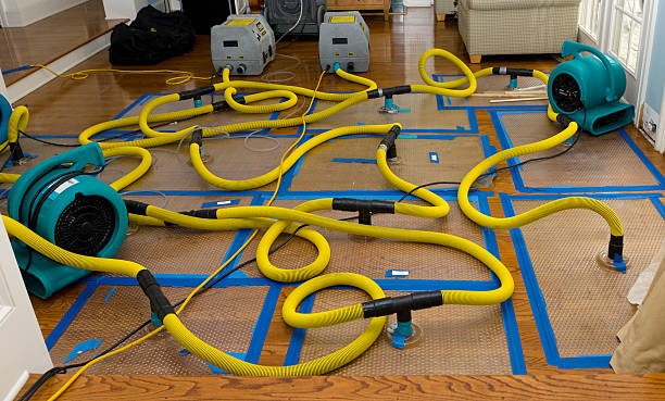 Professional Basement Flood Cleanup technician working in Mayo, SC